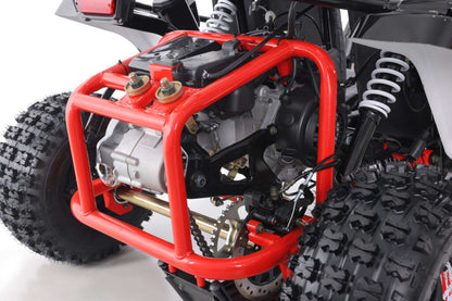 Tao Motors Baja Sport 200