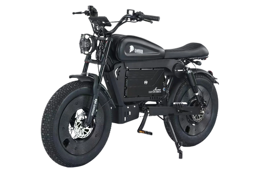 SoverSky Knight /Black Warrior Electric Fat Tire Bike