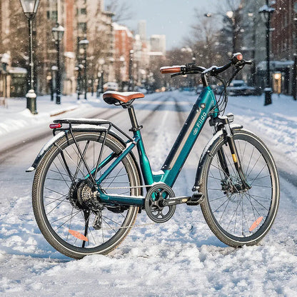 Fiido C11 Pro City E-Bike | 500W Long Range Urban Electric Bike