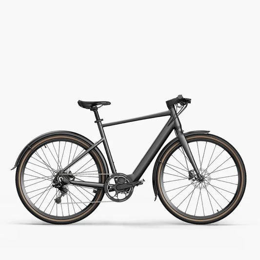 Fiido C21 Gravel & City E-Bike