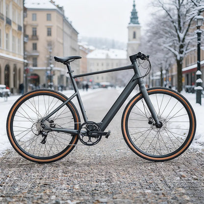 Fiido C21 Lightweight Urban Gravel E-Bike | 250W Torque Sensor Electric Bike