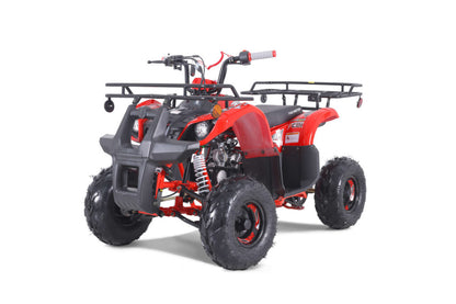Tao Tao 125