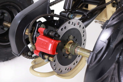 Tao Motor D125 NEW Kids 125cc ATV