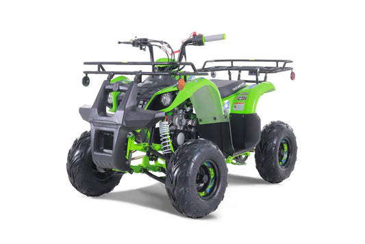 tao tao 125