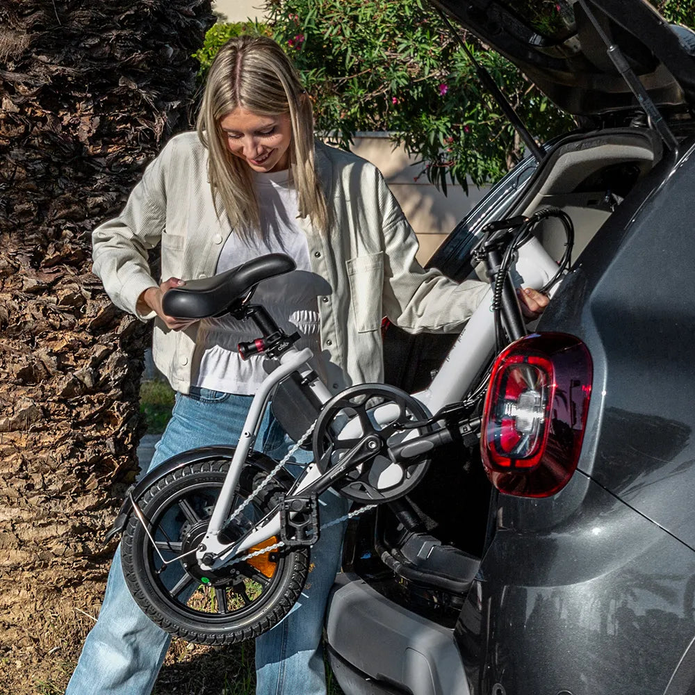 Fiido D3 Pro Mini Electric Bike Review | 250W Foldable Urban E-Bike with 79KM Range