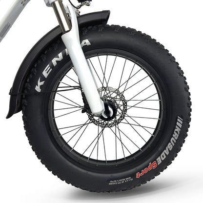 Jupiter Defiant ST Fat Tire Folding Electric Bike | 750W Full Suspension E-Bike