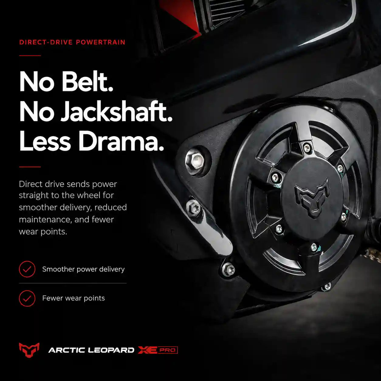 Arctic Leopard XE Pro R - Powerful 74V Dirt EBike - Image 4
