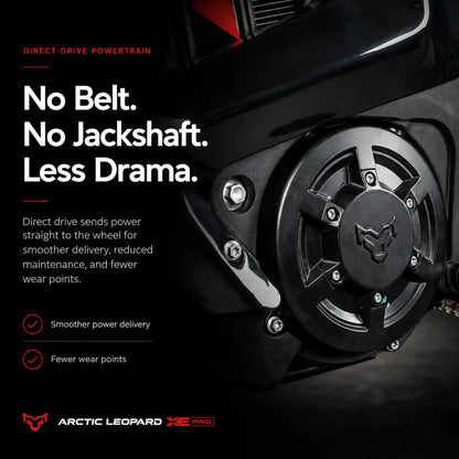 Arctic Leopard XE Pro R - Powerful 74V Dirt EBike - Image 4