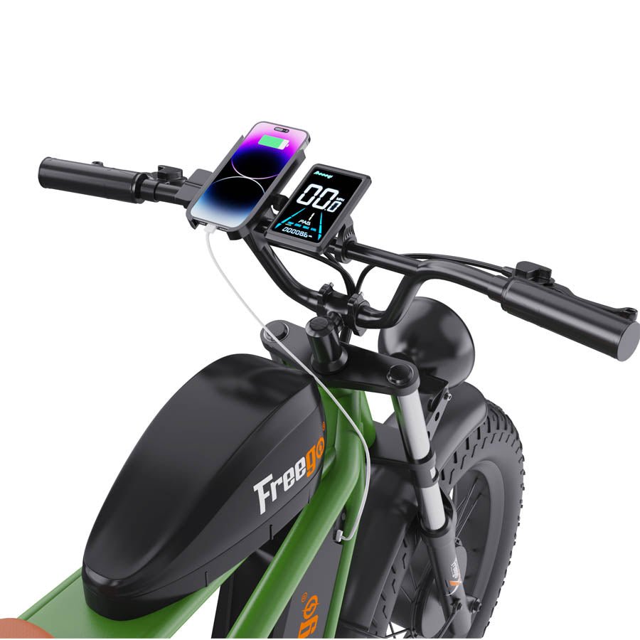 Freego Flash F3 Pro Dual Motor and Battery eBike