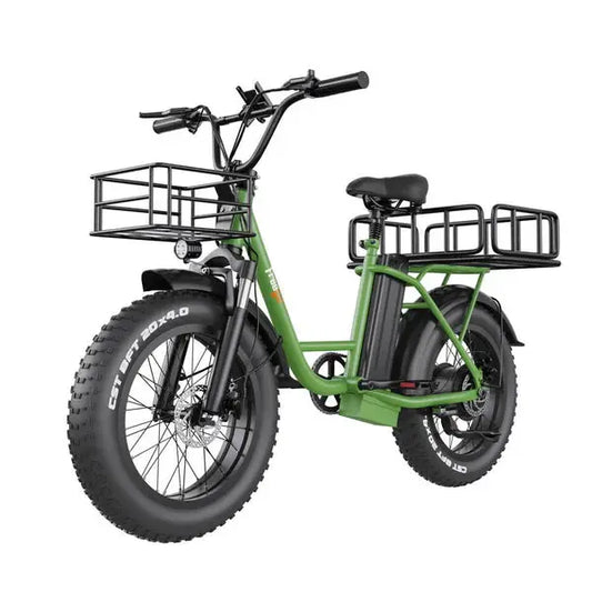 Freego FB-20X Step-thru Fat Tire Electric Bike Freego