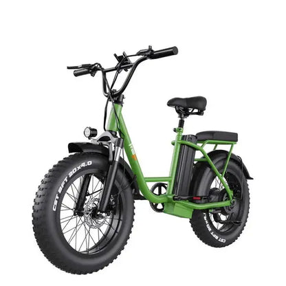 Freego FB-20X Step-thru Fat Tire Electric Bike Freego
