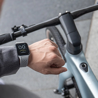 Fiido Air Carbon Fiber Electric Bike | Lightweight Premium Urban E-Bike
