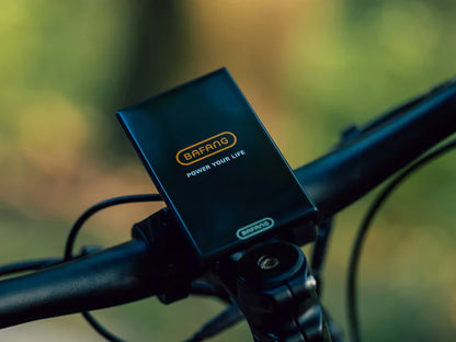 Forest XM MTB Electric Bike – Off-Road Mountain Ebike Performance