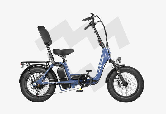 Fucare Aquarius Hybrid Electric Bike,750W Motor