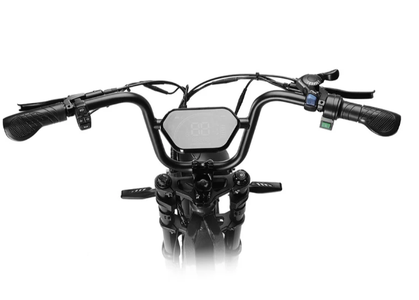 Happyrun Tank G60 Pro 2000W Moped Style Offroad Electric Bike Fat Tire 1000W Motor (Peak Motor 2000W)