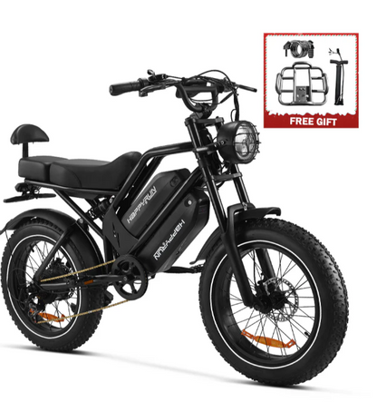 HappyRun G70 2000W Dual Battery Fast Electric Cargo Bike