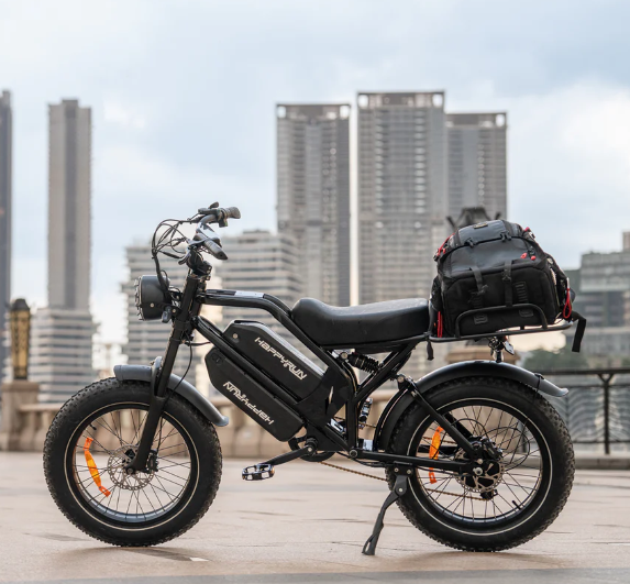 HappyRun G70 2000W Dual Battery Fast Electric Cargo Bike