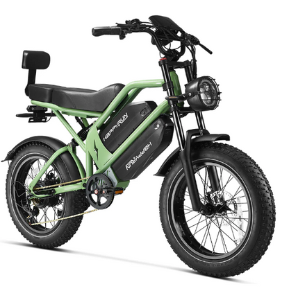 HappyRun G70 2000W Dual Battery Fast Electric Cargo Bike