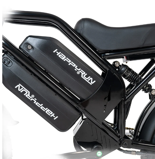 HappyRun G70 2000W Dual Battery Fast Electric Cargo Bike