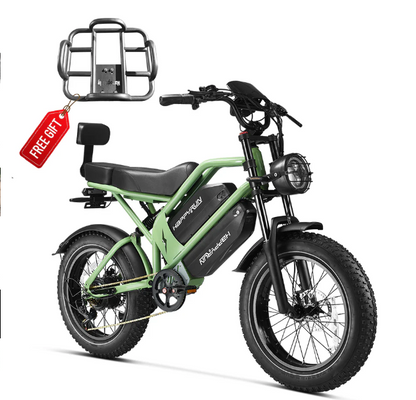 HappyRun G70 2000W Dual Battery Fast Electric Cargo Bike