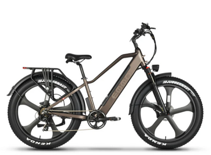 Gron Pro Premium Torque Sensor Fat Tire Ebike