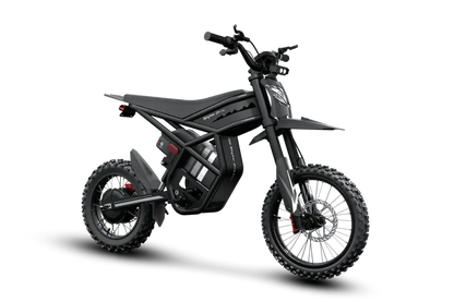 GT54 Pro Electric Mini Motorbike for Teenagers & Adults Renovomotors