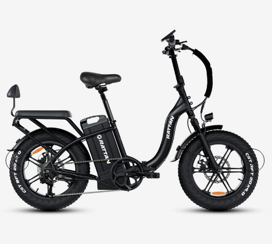 Rattan LF Ultra 48V 40.5Ah 120 Miles 2-Seater Long-Range Campling & RV Companion Folding Ebike