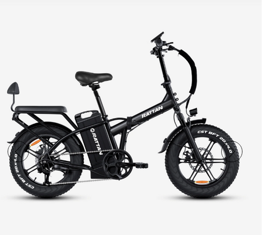 Rattan LM Ultra 48V 40.5Ah 120 Miles 2-Seater Long-Range Campling & RV Companion Folding Ebike
