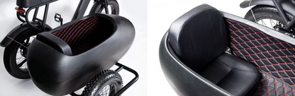Side Car for Ebike