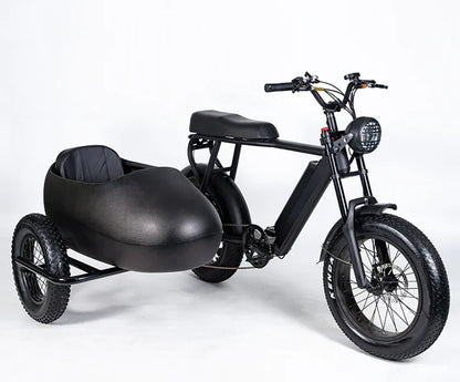 Side Car for Ebike