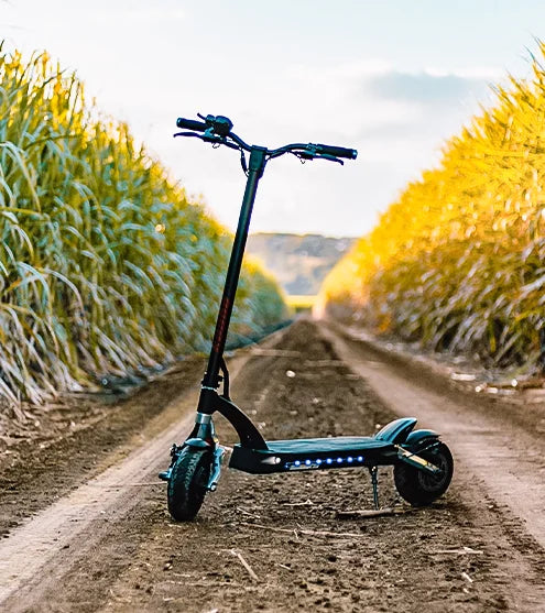KAABO MANTIS 10 DUAL MOTOR ELECTRIC SCOOTER Kaabo