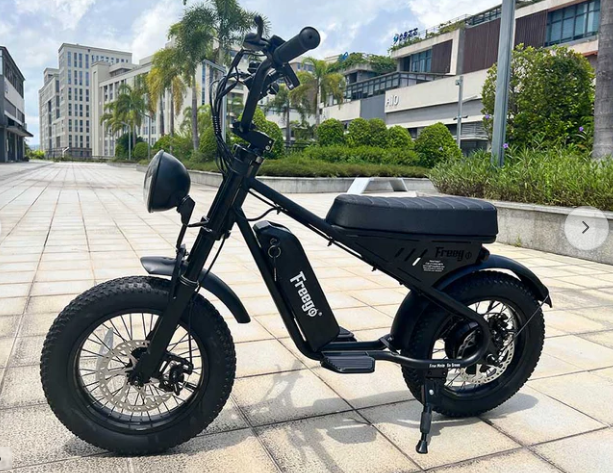 Freego  M1-Mini Electric Motorcycle for Child
