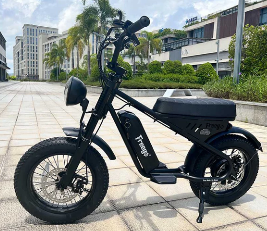 Freego  M1-Mini Electric Motorcycle for Child