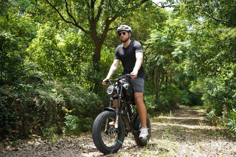 Z8 Electric Bike Renovomotors