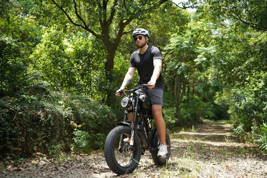 Z8 Pro Electric Bike Renovomotors