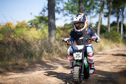 250w mini bike