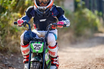 250w mini bike
