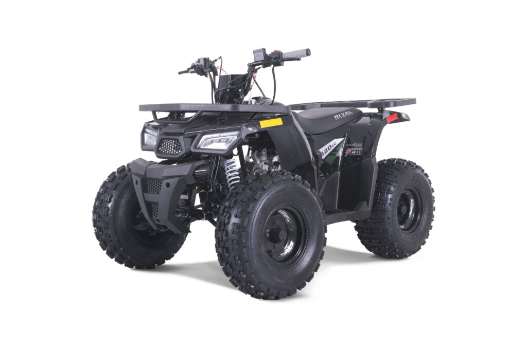MUDHAWK 10