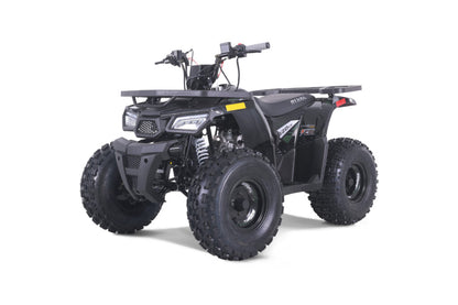 MUDHAWK 10