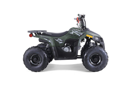 Rival Mudhawk 6 Tao Tao 110 cc/Off Road Use Only