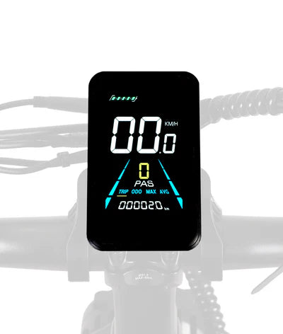 VICTRIP Mimas Torque Sensor Step-Thru eBike