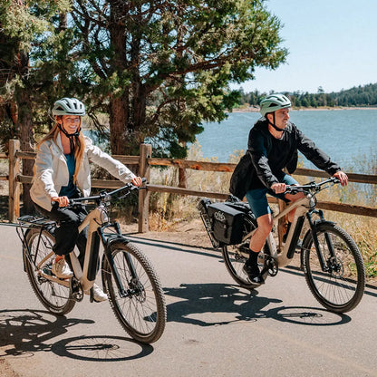 Fiido Nomads Trekking E-Bike – 48V Long Range Electric Trekking Bike