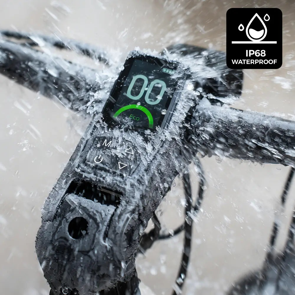 Fiido Nomads Trekking E-Bike – 48V Long Range Electric Trekking Bike