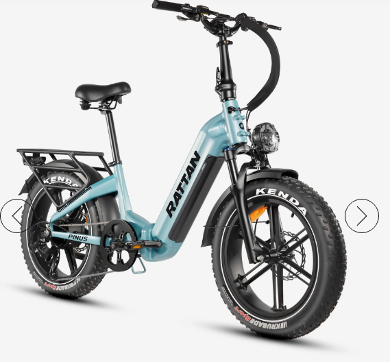 Rattan Pinus Torque Sensor, 20" * 4" Fat tire eBike, LCD Display with App control, 1500w (peak) motor, Class-3 speed(Top Speed 28mph), 48V 960Wh 20AH Samsung Battery and a step-through Foldable frame.