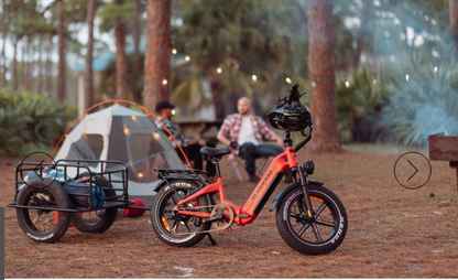 Rattan Pinus Torque Sensor, 20" * 4" Fat tire eBike, LCD Display with App control, 1500w (peak) motor, Class-3 speed(Top Speed 28mph), 48V 960Wh 20AH Samsung Battery and a step-through Foldable frame.