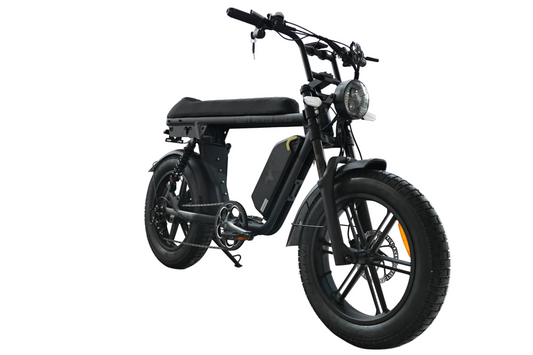 Power Goat electric bike by Goat Power Bikes