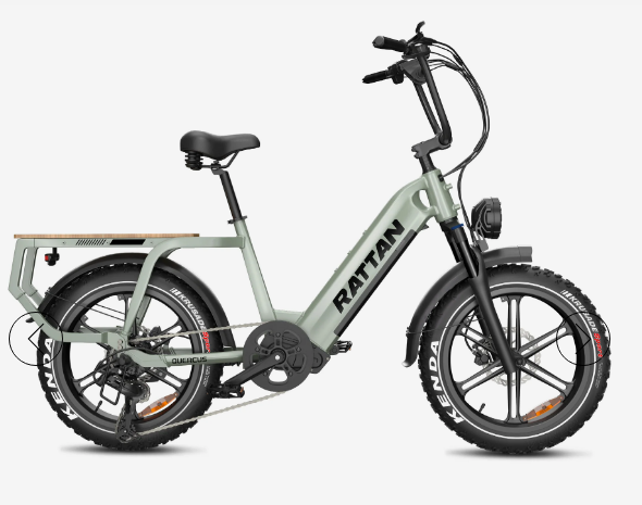 Rattan Quercus Torque Sensor, 20*4 Inch Fat Tire with 1500w(Peak) Motor, Class-3(Top Speed 30mph), 48V 960Wh, 20AH Samsung Cells Battery.