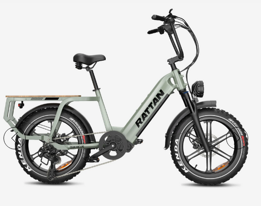 Rattan Quercus Torque Sensor, 20*4 Inch Fat Tire with 1500w(Peak) Motor, Class-3(Top Speed 30mph), 48V 960Wh, 20AH Samsung Cells Battery.