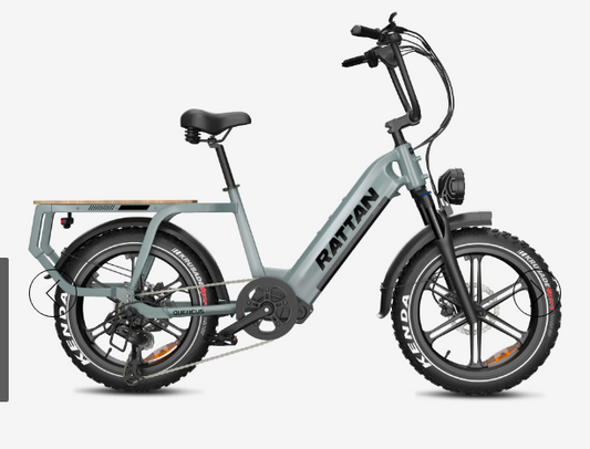 Rattan Quercus Torque Sensor, 20*4 Inch Fat Tire with 1500w(Peak) Motor, Class-3(Top Speed 30mph), 48V 960Wh, 20AH Samsung Cells Battery.