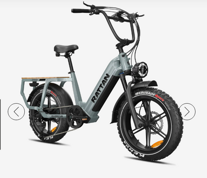Rattan Quercus Torque Sensor, 20*4 Inch Fat Tire with 1500w(Peak) Motor, Class-3(Top Speed 30mph), 48V 960Wh, 20AH Samsung Cells Battery.